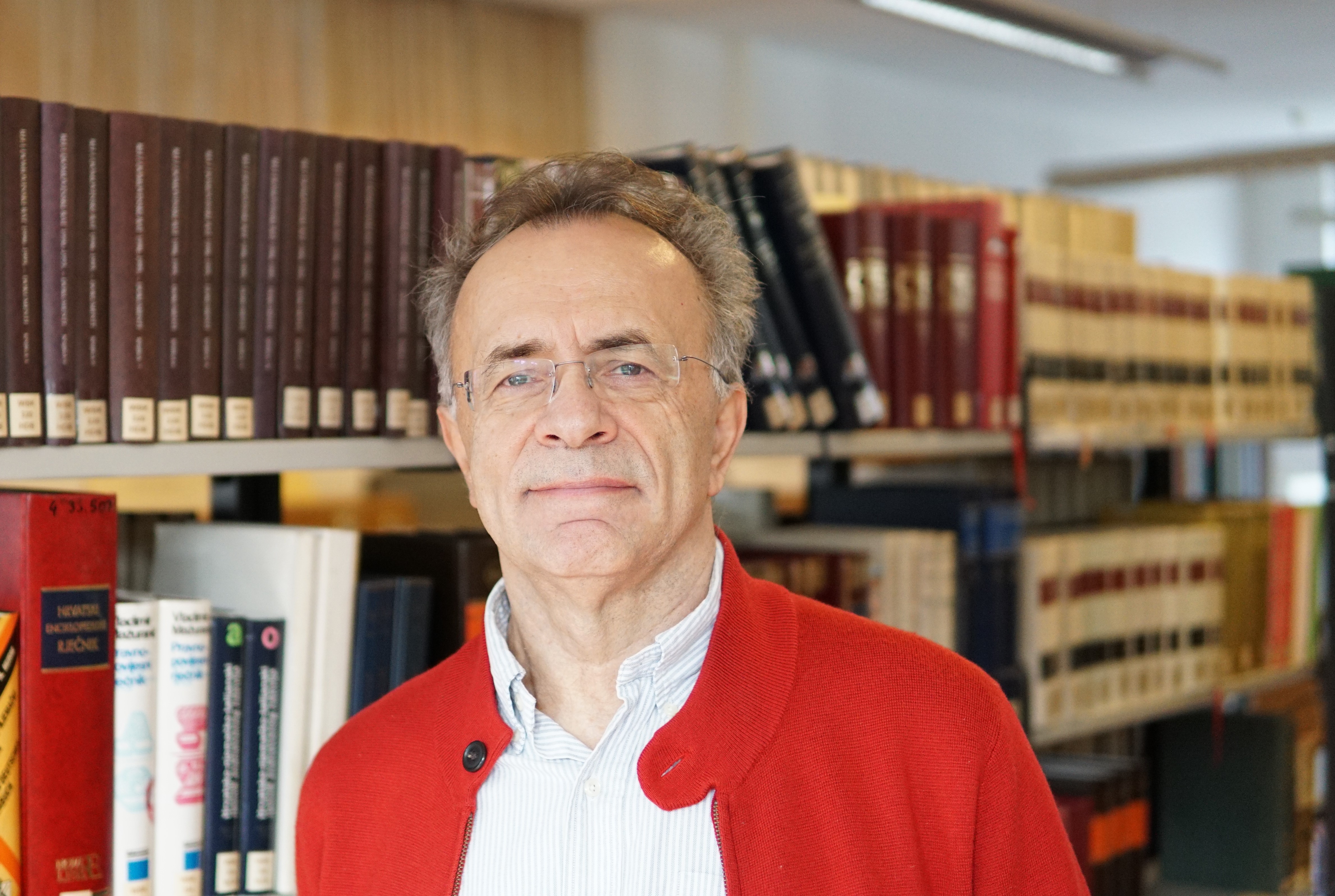 Professor Slavo Radosevic