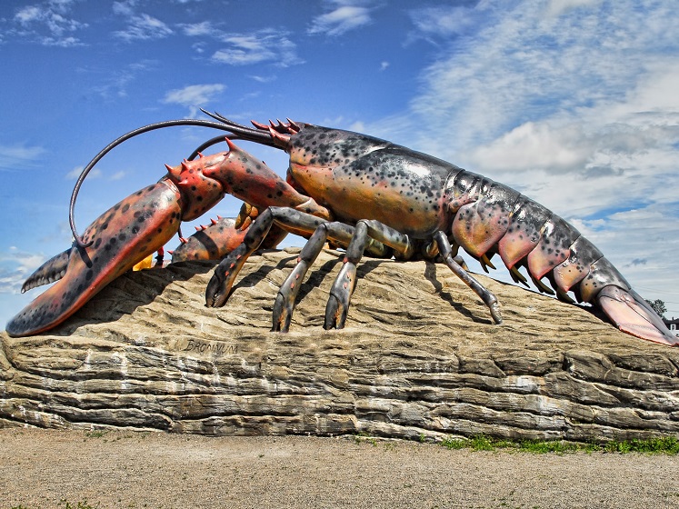 Lobster 560 747