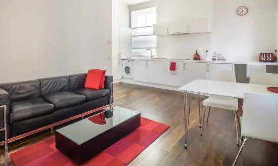 A kitchen / living room