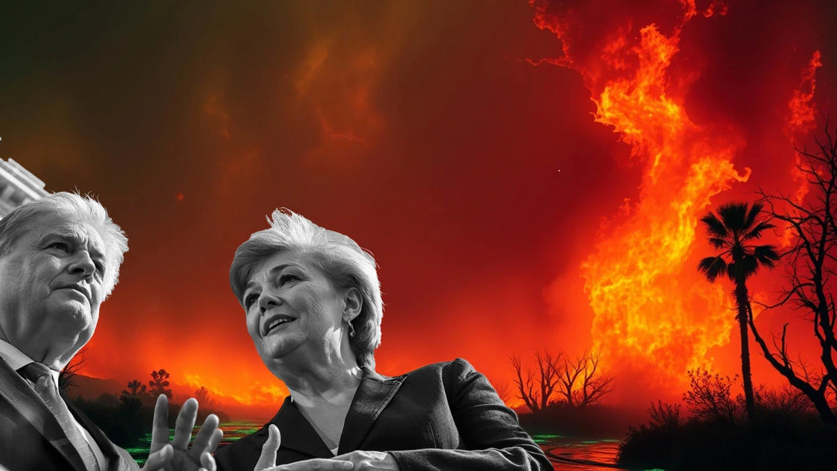 Graphic depiction of world leaders and wildfires