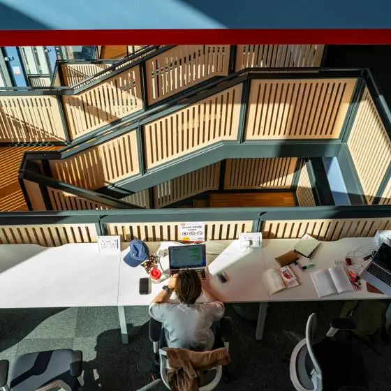 Student studying in the Centre Building at the LSE campus