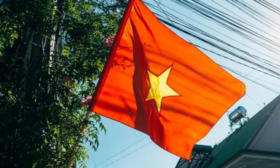 Vietnamese flag flying on a wooden mast near a building and a tree