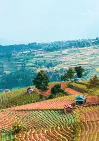 anggit-rizkianto-RDGChrTxiwc-unsplash