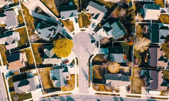 pexels-michael-tuszynski-2157404 Cropped