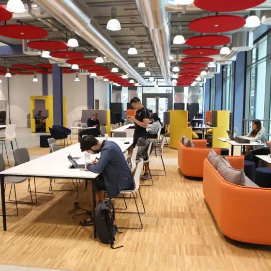 students working in an LSE communal working space
