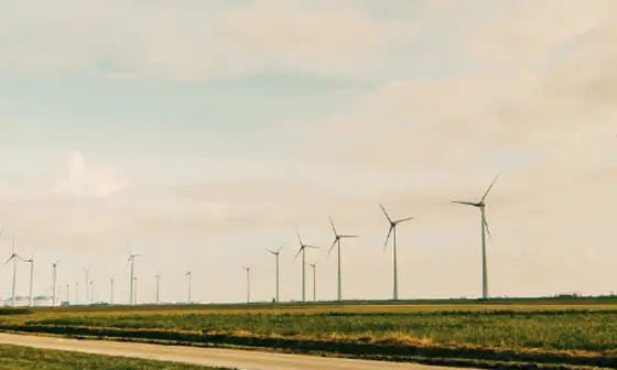 pexels-tom-swinnen-695342 1400 x 300