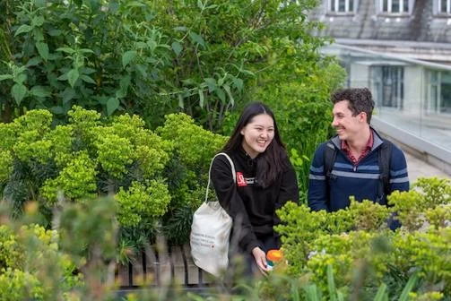 Students sat in a garden