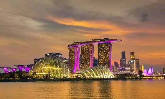 Singapore city skyline across body of water at night, with gold and pink hues