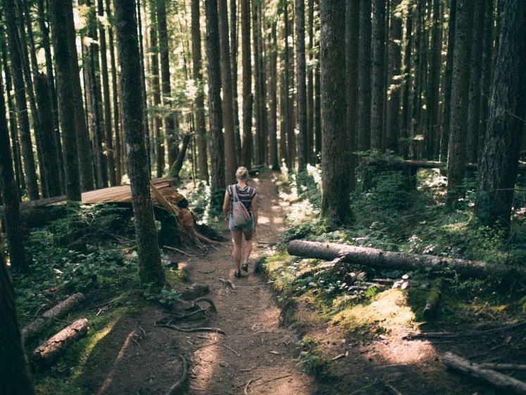 womaninwoods747x560