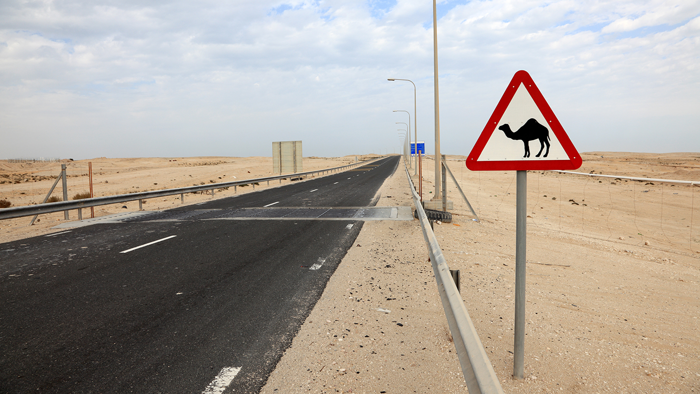 Sign with Camel on side of highway