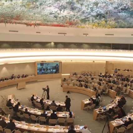UN geneva - Human rights council Cropped