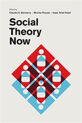 Krause_Social Theory Now