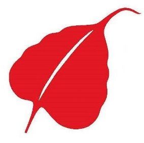 leaf of SAC logo
