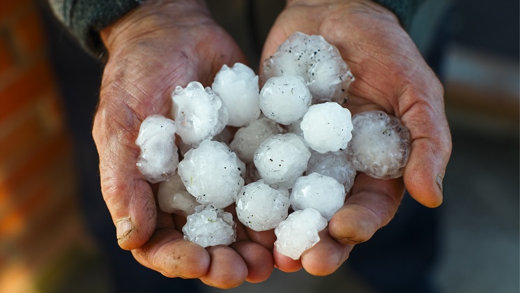 Hailstones