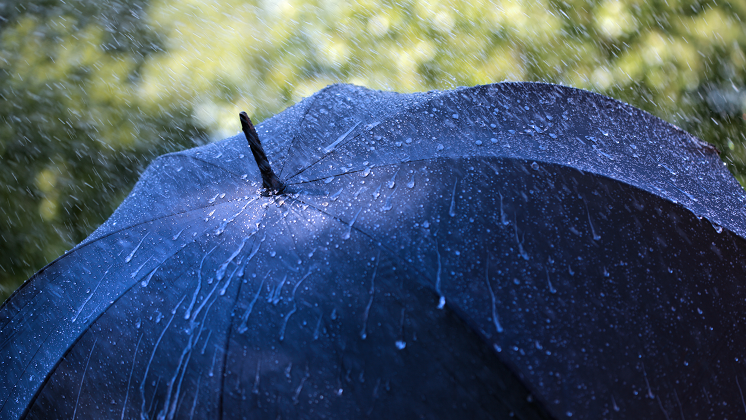 Umbrella