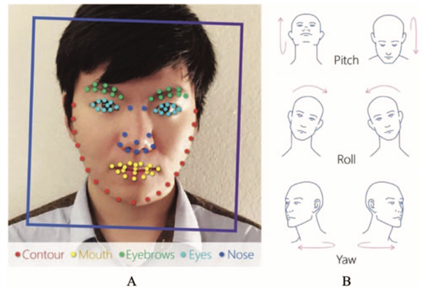 New AI can guess whether you're gay or straight from a photograph, Artificial intelligence (AI)