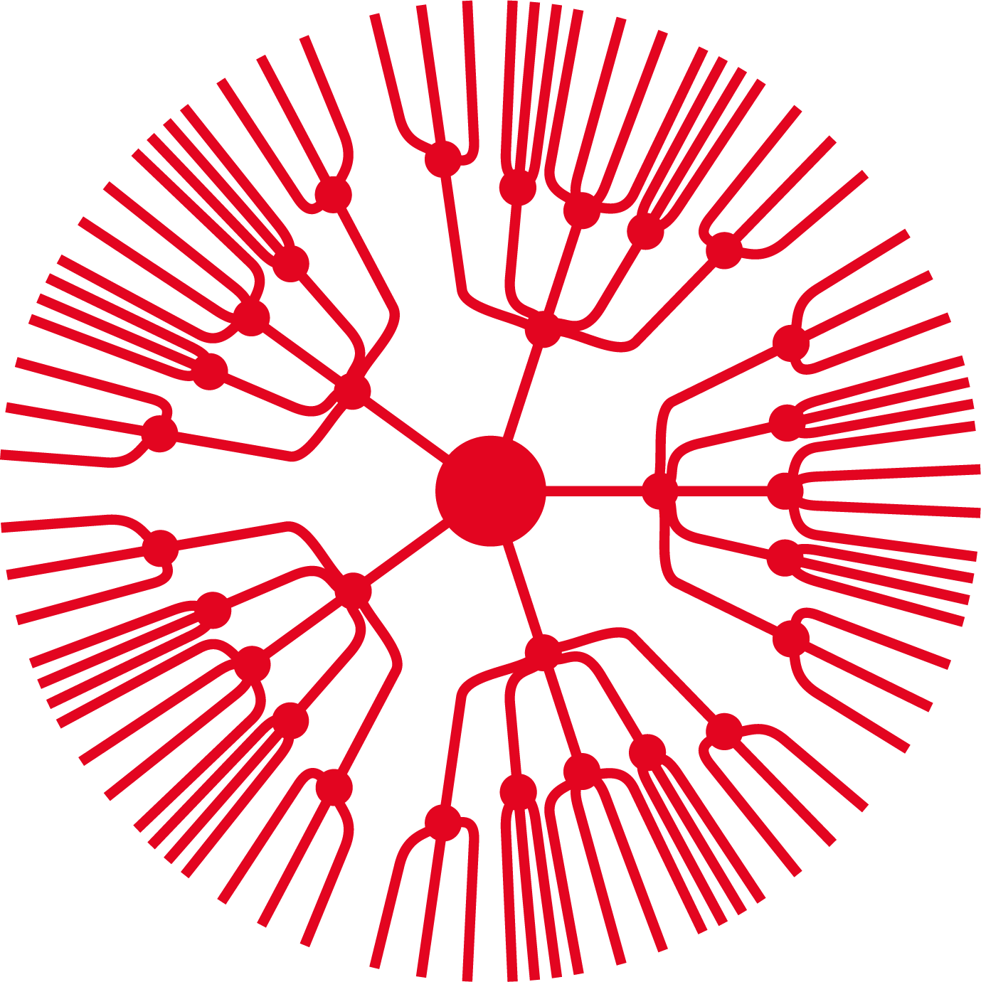 lse phd demography