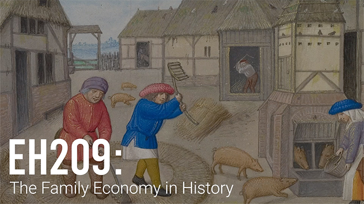 EH209 The Family Economy in History