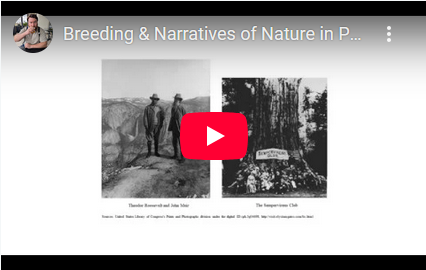 Breeding & Narratives of Nature in Progressive-Era USA - Anahita Rouyan (Ind. scholar/consultant)