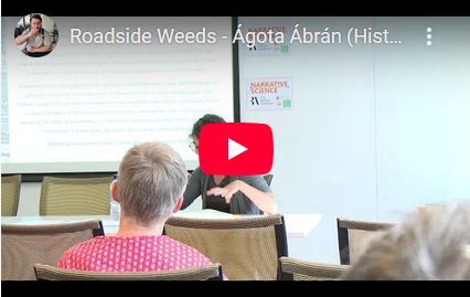 Roadside Weeds - Ágota Ábrán ​(History and Art Museum Zalau)