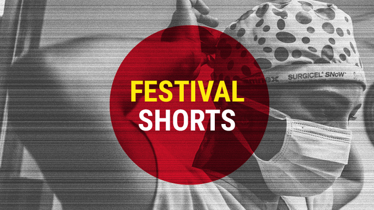 festival shorts grey_v2 747x42024