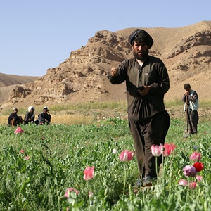 Fertliser Ghor cr David Mansfield