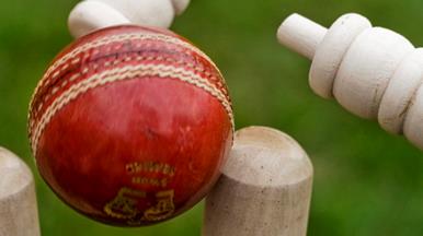 Cricket c Graham S Dean Photography