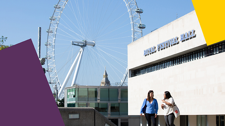 students-and-the-london-eye