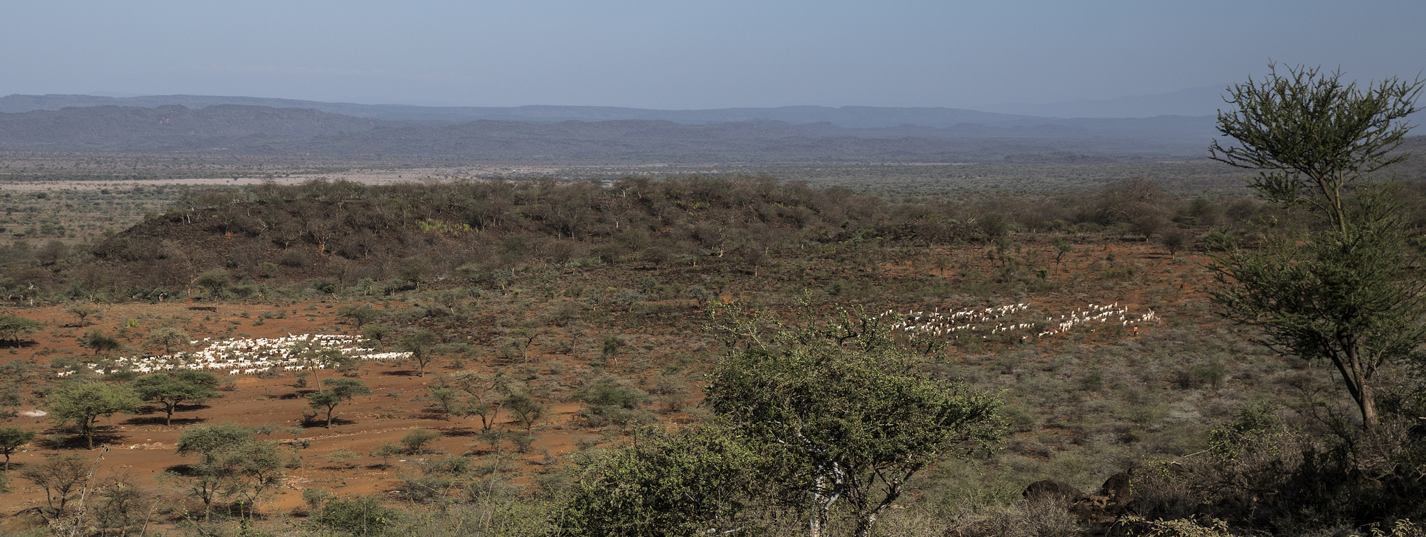 Kenya header