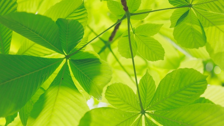 Jason-Hickel-Paper-Hoempage