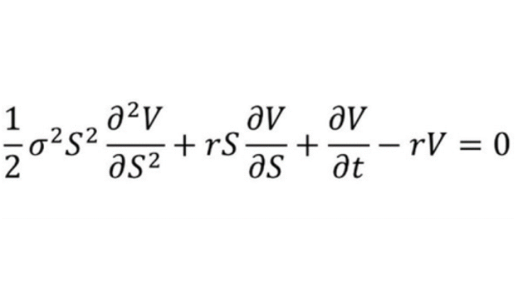 US08 FM - Black Scholes Equation