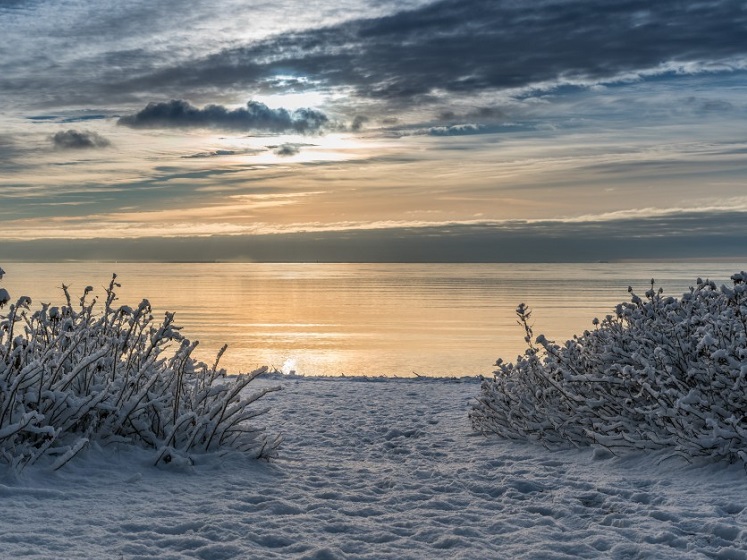 beach_clouds_cold_dawn_footprints_freezing_frost_frozen-1531331. 747 560 jpg!d