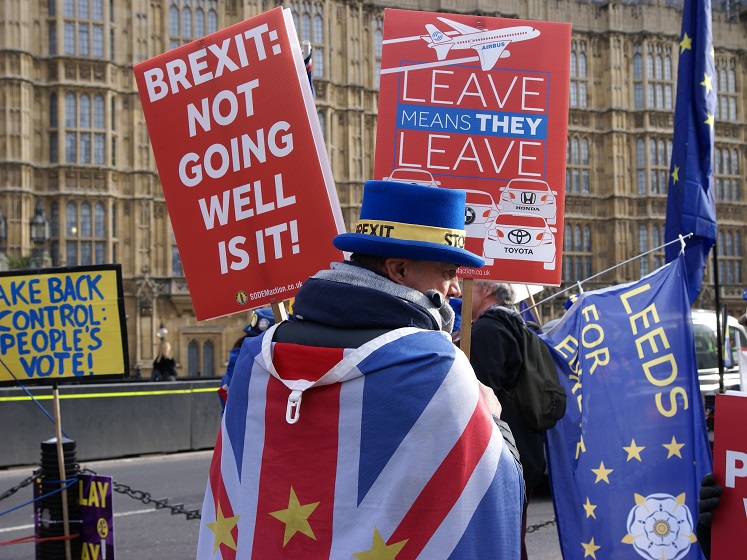 Brexit_Protestors_London. 747 560 jpg