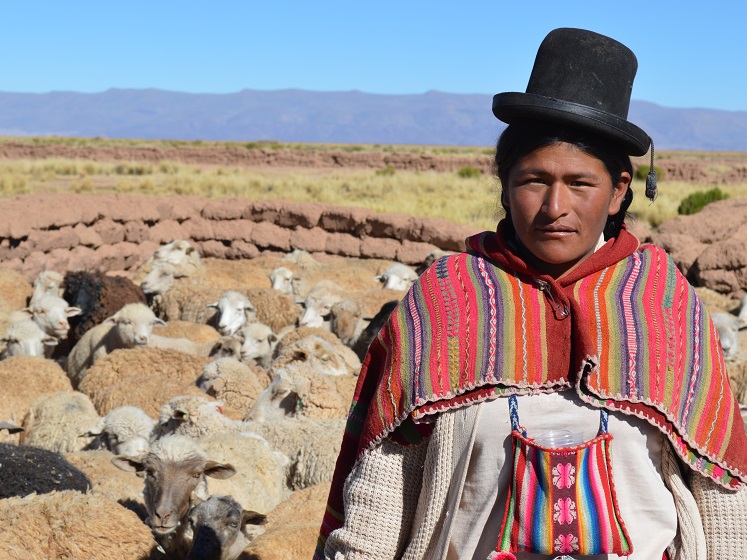 Woman in the Bolivian highlands 747 560