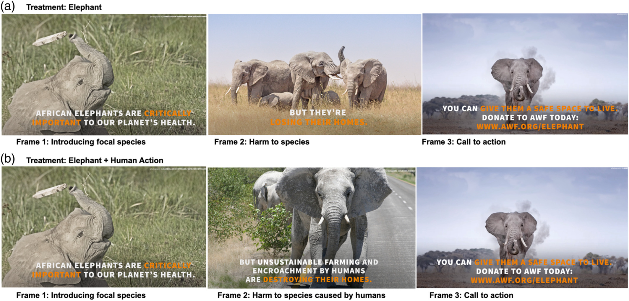 How storytelling impacts engagement with wildlife conservation adverts