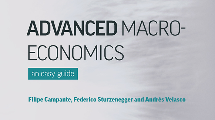 Advanced macro economics