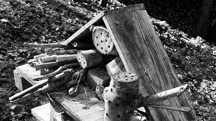 Bug Hotel