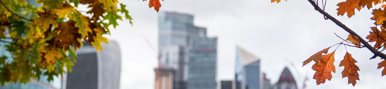 people landing banner