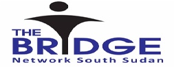 bridge-network-logo