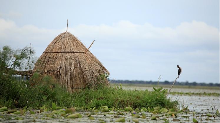 Julian-Uganda-credit-sam-dcruz-747x420