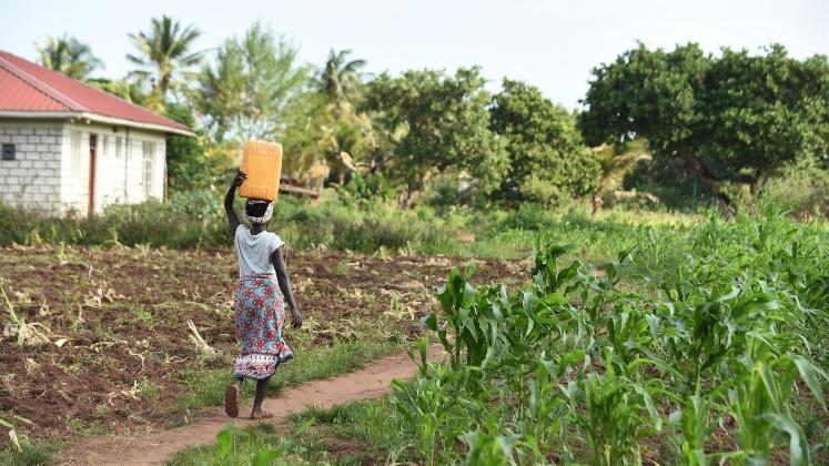 drc-fetching-water-747x420