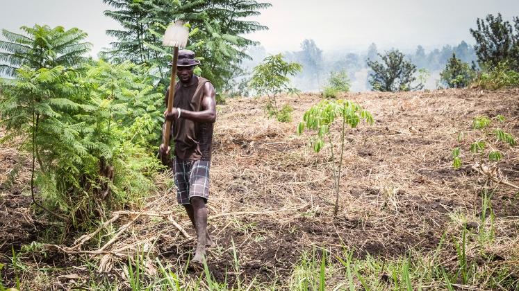 virunga-park-747x420 (wecompress.com)