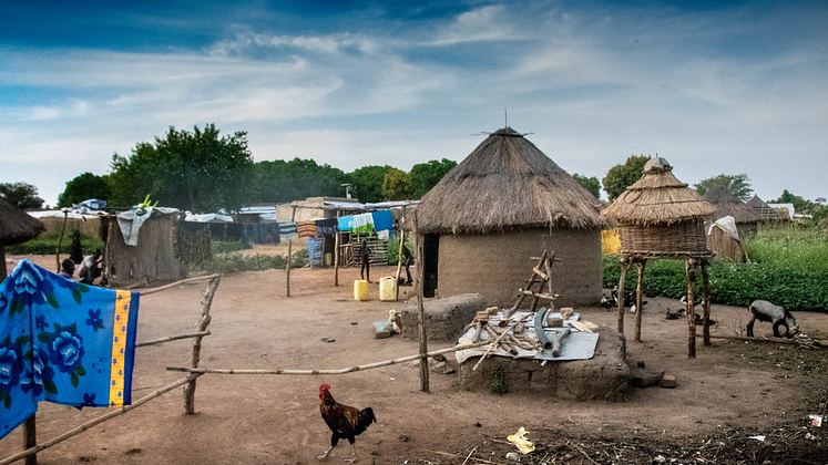 Resilience-africa-lse