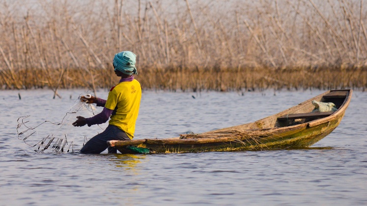 environment-fishing