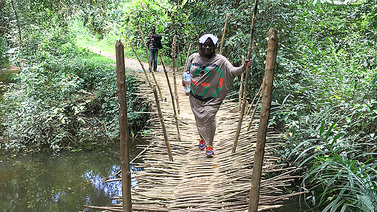A lady does a canopy walk in Sierra Leone