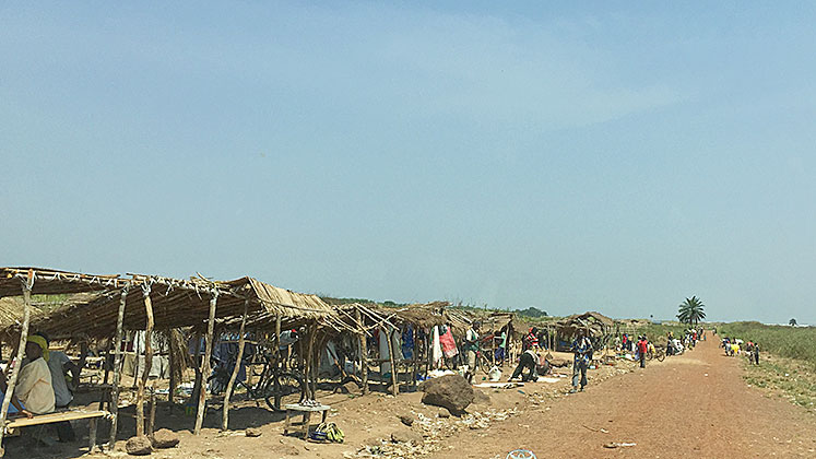 Market in DRC