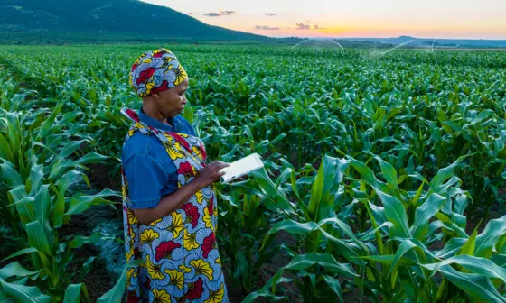 Woman stands in a field full of tall crops with an ipad making notes