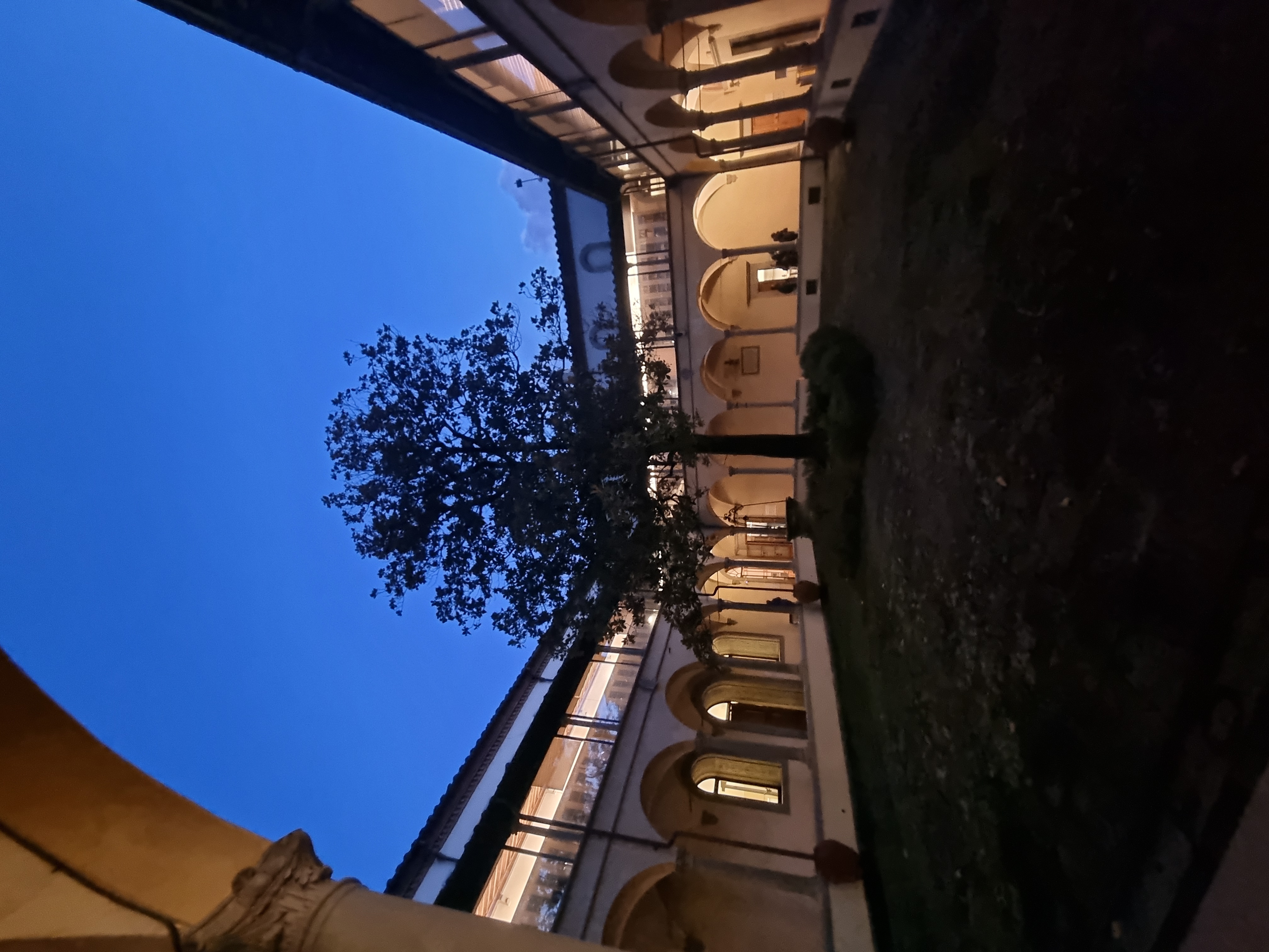 A courtyard with a tree at dusk on EUI's campus. 