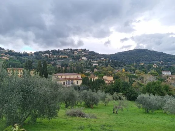 A photo of EUI's campus, nestled in the hills above Florence.