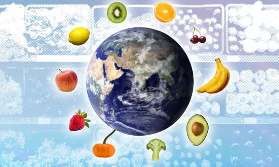 Sustainable food nudges
